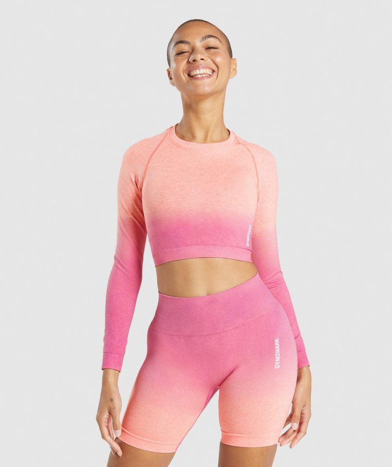 Women\'s Gymshark Adapt Ombre Seamless Long Sleeve Cropped Tops Pink | NZ 8JUNRC